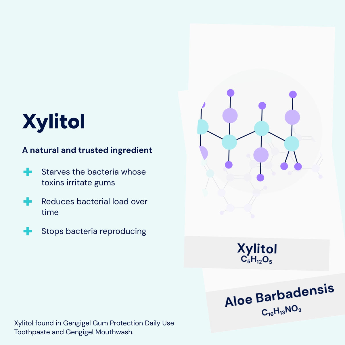 Xylitol helps limit the growth of harmful bacteria, reducing bacterial load and acid production over time to support healthier gums.