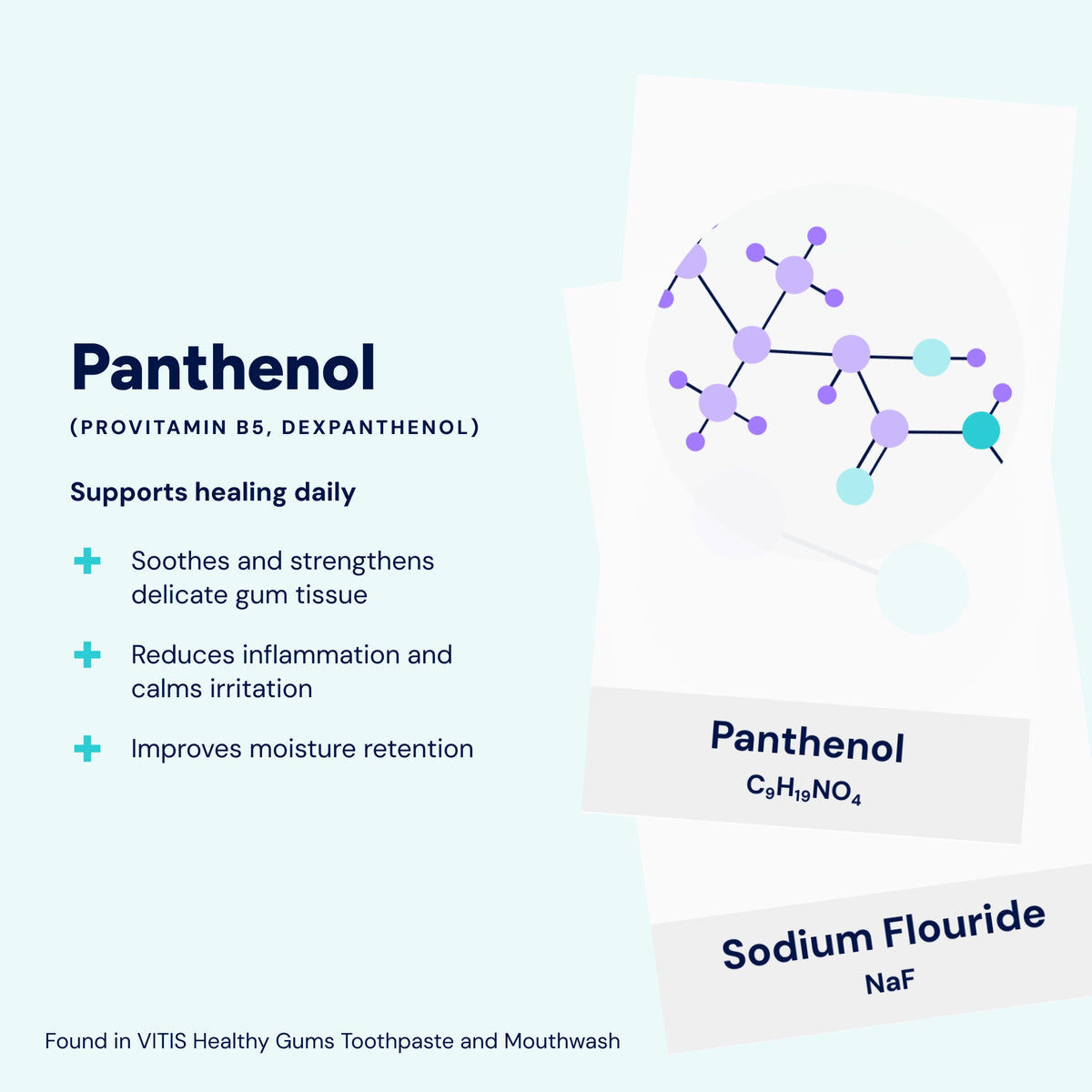 Panthenol (pro-vitamin B5) helps soothe irritated gum tissue, reduce inflammation and support moisture retention, helping maintain healthy, comfortable gums.